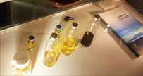 Gallery Item 7