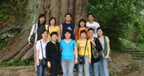 Gallery Item 8